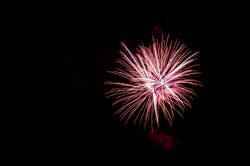 Pinkes Feuerwerk mit schwarzem Himmel.