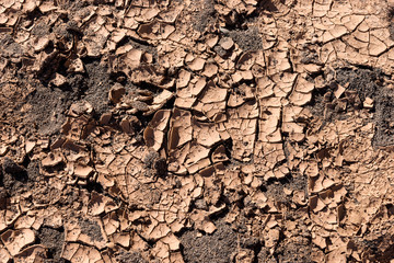 Cracked ground. Earth background. Global warming concept