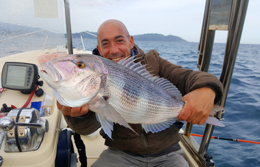fisherman with fresh dentex just caught