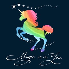 Rainbow unicorn. Awesome pretty unicorn pony rainbow background outline vector illustration © vectortatu