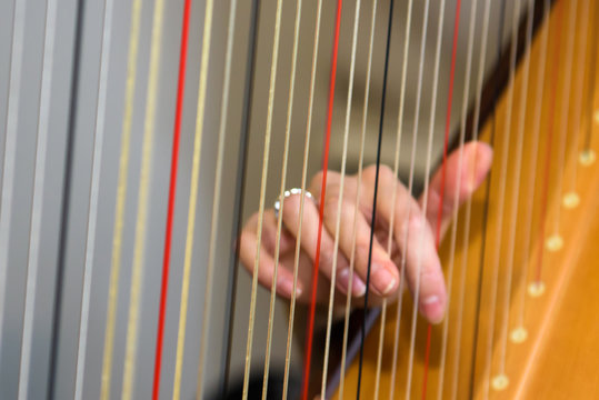 Hand of a girl playing the harp. Musical play on a stringed instrument.