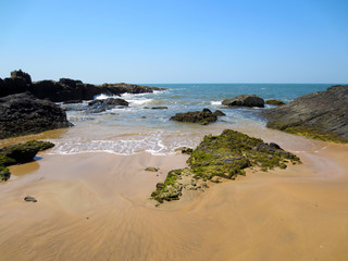 Wild coastline with sand and stones