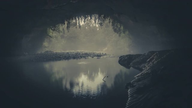 Timelapse video of beautiful underground cave entrance with river and plants hanging from the ceiling. Moria Gate, Karamea, New Zealand.