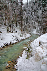 Winter landscape with a mountain river.