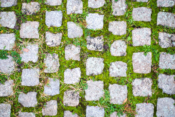 Stone Block with Grass