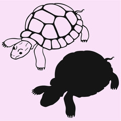turtle vector silhouette isolated