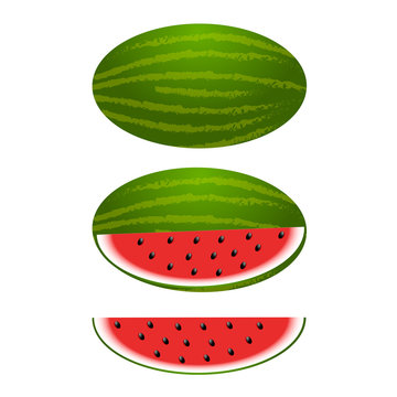 Fresh and juicy whole watermelons and slices .Vector illustration on white background.