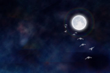 Obraz na płótnie Canvas To The Moon