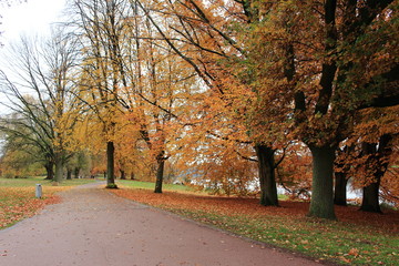 Parkanlage in der Stadt