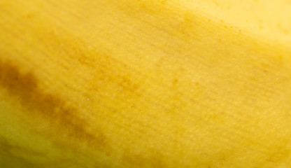 Banane Struktur