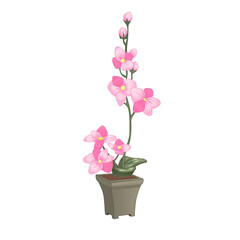 Pink orchid in flowerpot design concept in flat style isolated on white background. Vector illustration.