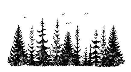 Hand drawn sketch of pine forest. Vector background.