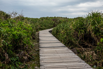 Fototapeta na wymiar Hiking wooden trail path