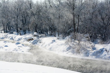 冬の川