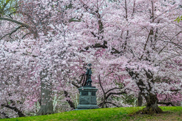 Obraz premium Central Park, New York City in spring