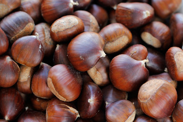 Edible chestnuts (Castanea sativa Mill.) on a pile. Fresh sweet chestnuts. Top view of chestnuts.