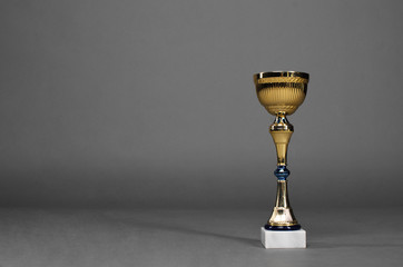 Photo of golden award cup trophy isolated on gray studio background.