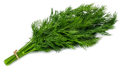 bunch fresh green dill isolated on white background