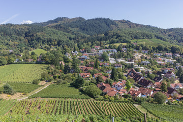 Fototapeta na wymiar Landschaft im Breisgau