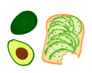 Avocado toast. Sliced avocado on toast bread with spices. Delicious avocado sandwich with sesame seeds, seasoning and dill. Vector illustration.