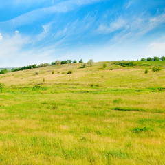 Fototapeta premium Landscape with hilly field and blue sky.