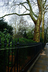 A cloudy day in the autumn city of London.