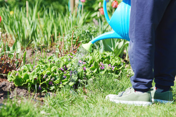 Boy is helping to water the flowers in a garden. © Artem