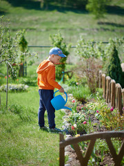 Cute European boy is watering tulipes in the countryside garden. He likes to help his mother in the garden. © Artem