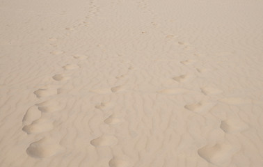 foot steps on the sand, desert