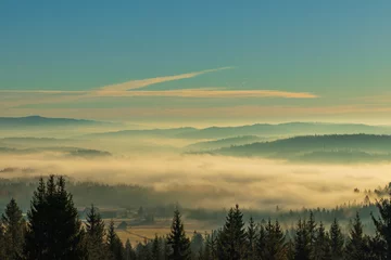 Tableaux ronds sur aluminium brossé Forêt dans le brouillard fogs in the valleys of the Tatra Mountains, Poland