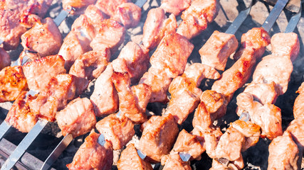 Grilling Shashlik is a form of Shish kebab popular in Eastern, Central Europe and other places.