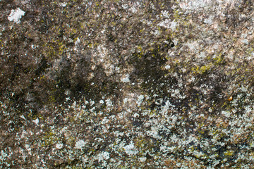 texture of old stone. background