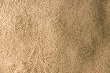warm beige brown nappy soft natural sheepskin textural background