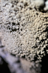 Coralloid formations (cave popcorn)