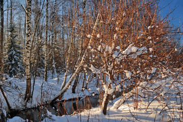 winter river in sunlights