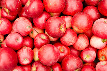 Organic red apples