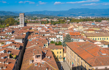 Fototapeta na wymiar Panoramic view in Lucca with San Frediano Church. Tuscany, Italy.