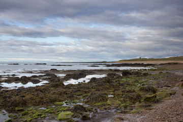 Natural Beauty on the Scottish Coast