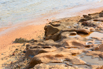 Red sea shore near Sharm El Sheikh, Egypt