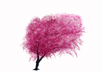 Cherry Blossom Tree