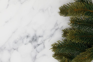 Christmas fir tree branches on a marble background