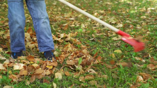 Child working in the garden, cleans autumn leaves with a rake close up legs