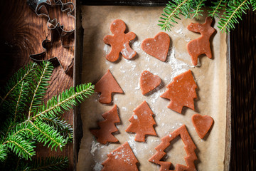 Closeup of preparation for baking gingerbread cookies for Christmas