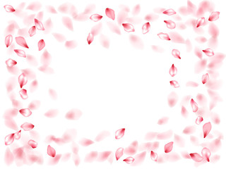 Pink sakura flower flying petals isolated on white vector background.