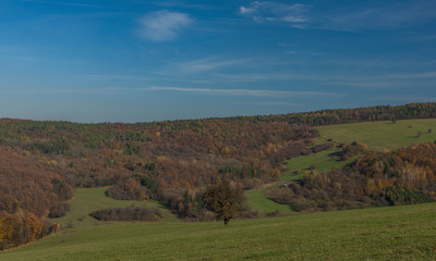Fototapeta na wymiar Meadows and forest over Pitin town in Moravia region