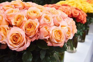 Fresh cut yellow and light pink roses and arrangements in florist shop, tracking shot