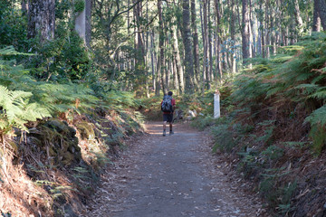 Pilger auf dem Jakobsweg (von Porto nach Santiago de Compostela)