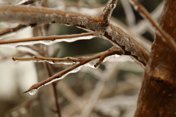 Incomplete Ice