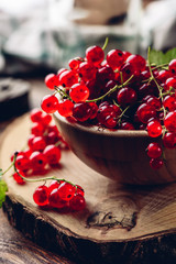 Fresh picked red currants