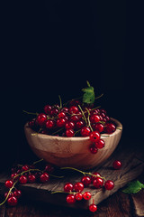 Fresh picked red currants